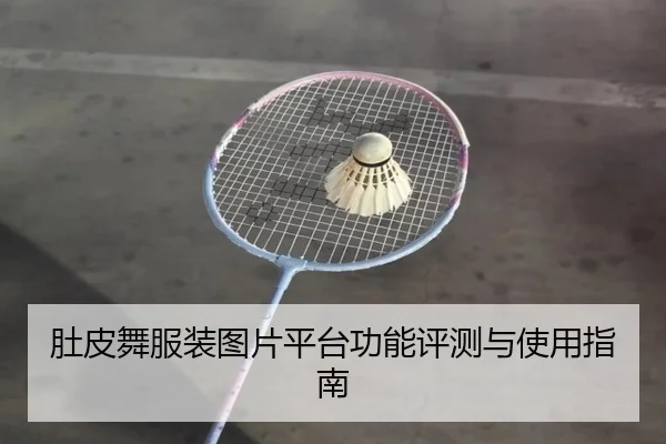 肚皮舞服装图片平台功能评测与使用指南